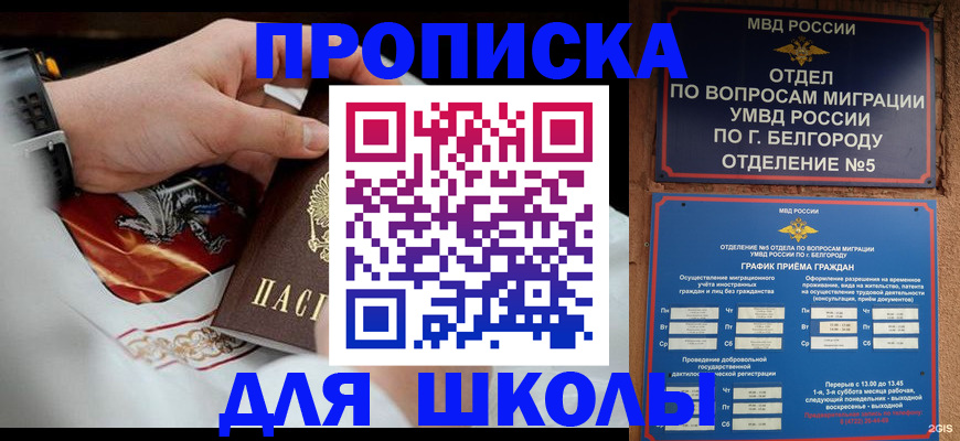 пропишу в квартире в Новошахтинске